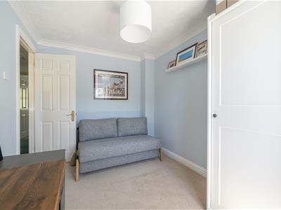 Picture 13